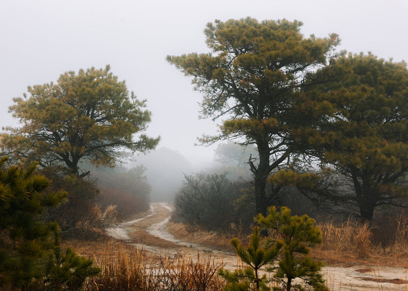 Into the Unknown